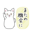 2匹は仲良し ＊日常＊（個別スタンプ：37）