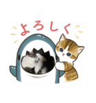 Cats in the cat（個別スタンプ：2）