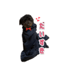 pinoちゃんスタンプ❤︎（個別スタンプ：8）