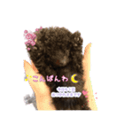 pinoちゃんスタンプ❤︎（個別スタンプ：15）