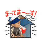 カワイイりゅうちゃん（個別スタンプ：6）
