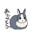 ゆるい動物たちの絵（個別スタンプ：7）