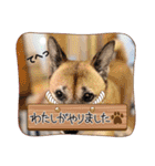 こうめ日和NO.1（個別スタンプ：5）