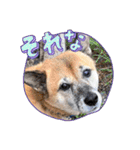 こうめ日和NO.1（個別スタンプ：9）