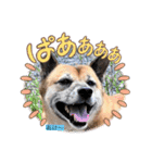 こうめ日和NO.1（個別スタンプ：12）