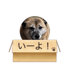こうめ日和NO.1（個別スタンプ：15）