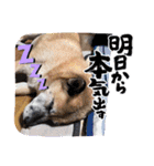 こうめ日和NO.1（個別スタンプ：16）