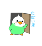 インコのパリピーちゃん（個別スタンプ：15）