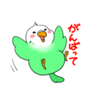 インコのパリピーちゃん（個別スタンプ：19）