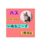 ねこーず39にゃんシリーズ㊲ハス（個別スタンプ：38）