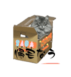 サイベリなライアン（個別スタンプ：12）