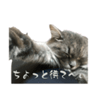 サイベリなライアン（個別スタンプ：13）