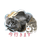 モフ×ライアン（個別スタンプ：4）
