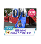 ぱぴぱぴパピヨン96（個別スタンプ：2）