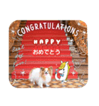ぱぴぱぴパピヨン96（個別スタンプ：4）