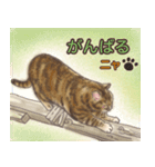 猫のゴッホ（個別スタンプ：6）