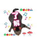 猫スタンプ❤️日常❤️挨拶❤️デカ文字❤️（個別スタンプ：14）