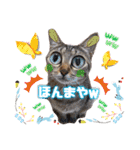 猫スタンプ❤️日常❤️挨拶❤️デカ文字❤️（個別スタンプ：21）