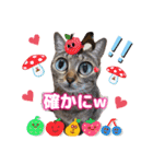 猫スタンプ❤️日常❤️挨拶❤️デカ文字❤️（個別スタンプ：22）