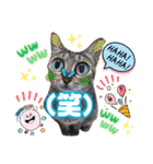 猫スタンプ❤️日常❤️挨拶❤️デカ文字❤️（個別スタンプ：23）