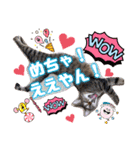 猫スタンプ❤️日常❤️挨拶❤️デカ文字❤️（個別スタンプ：26）