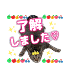 猫スタンプ❤️日常❤️挨拶❤️デカ文字❤️（個別スタンプ：28）