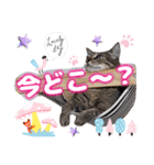 猫スタンプ❤️日常❤️挨拶❤️デカ文字❤️（個別スタンプ：32）