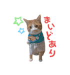 ピー助とゆかいななかまたち その③（個別スタンプ：4）