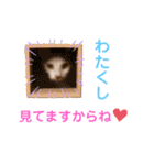 ピー助とゆかいななかまたち その③（個別スタンプ：8）