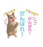 ピー助とゆかいななかまたち その③（個別スタンプ：11）