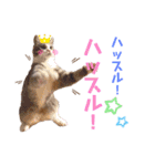 ピー助とゆかいななかまたち その③（個別スタンプ：14）