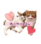 ピー助とゆかいななかまたち その③（個別スタンプ：18）