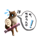 ピー助とゆかいななかまたち その③（個別スタンプ：21）