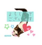 ピー助とゆかいななかまたち その③（個別スタンプ：23）