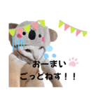 ピー助とゆかいななかまたち その③（個別スタンプ：24）