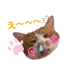 ピー助とゆかいななかまたち その③（個別スタンプ：30）