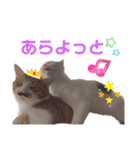 ピー助とゆかいななかまたち その③（個別スタンプ：31）