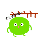 24時間みかん（個別スタンプ：20）