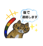 3匹の虹尾猫(にじおねこ)とQ＆A（個別スタンプ：22）