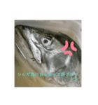 おかしな魚の日常（個別スタンプ：1）