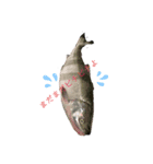 おかしな魚の日常（個別スタンプ：2）