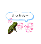 おかしな魚の日常（個別スタンプ：10）