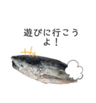 おかしな魚の日常（個別スタンプ：11）