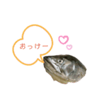 おかしな魚の日常（個別スタンプ：14）