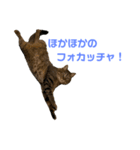 ハウルとチクワ2（個別スタンプ：3）