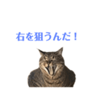 ハウルとチクワ2（個別スタンプ：4）