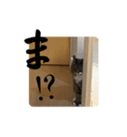 ハウルとチクワ2（個別スタンプ：10）