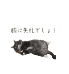 ハウルとチクワ2（個別スタンプ：12）
