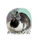 ごまちゃんの日常③（個別スタンプ：2）