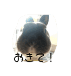 ごまちゃんの日常③（個別スタンプ：12）